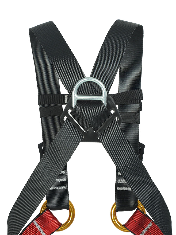 子供用安全ベルト子供用全身ハーネスロッククライミング子供用安 - Kids Outdoor Equipment のレビューと価格