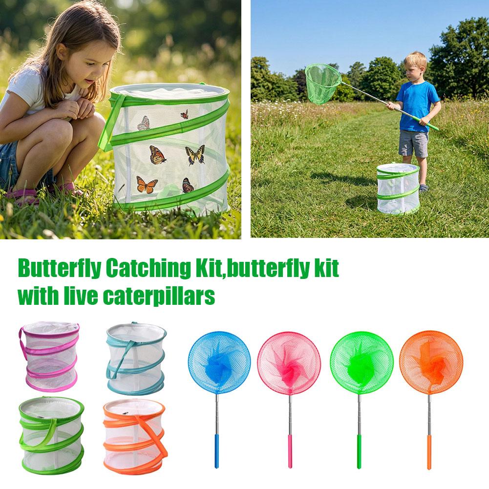 子供用蝶捕りキット 折りたたみ式メッシュ昆虫飼育ケージ 拡張 - Bug Catching Kit のレビューと価格